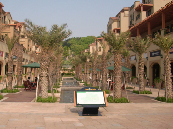 �г�������ɽ�L(zh��ng)ɳ�e��������{(di��o)����